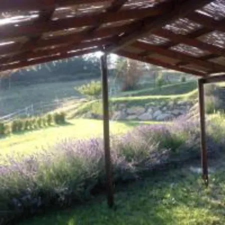 In Holiday House - Amazing Italian Country House With Swimming Pool